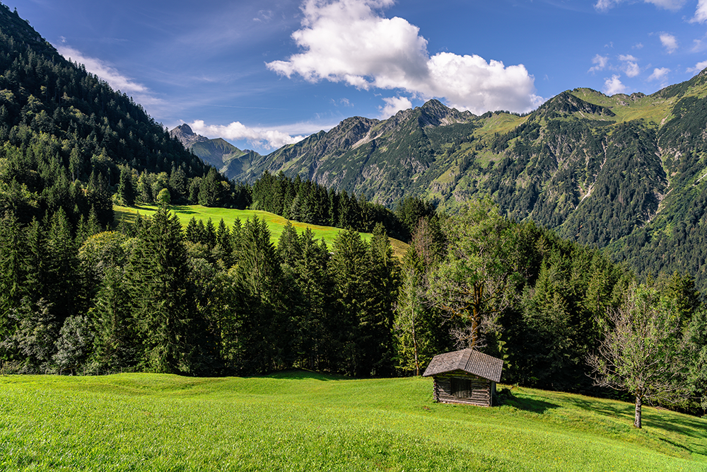 Frau Bergschoen Hahnenköpfle Gerstruben Oytal Oberstdorf