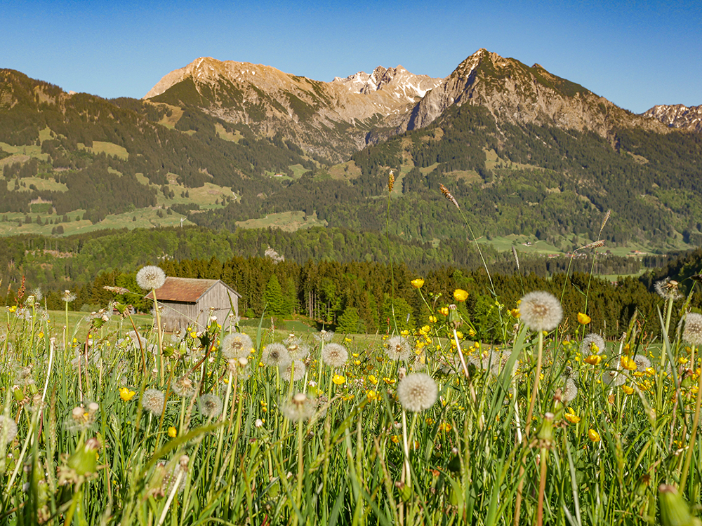 Frau Bergschoen Obermaiselstein