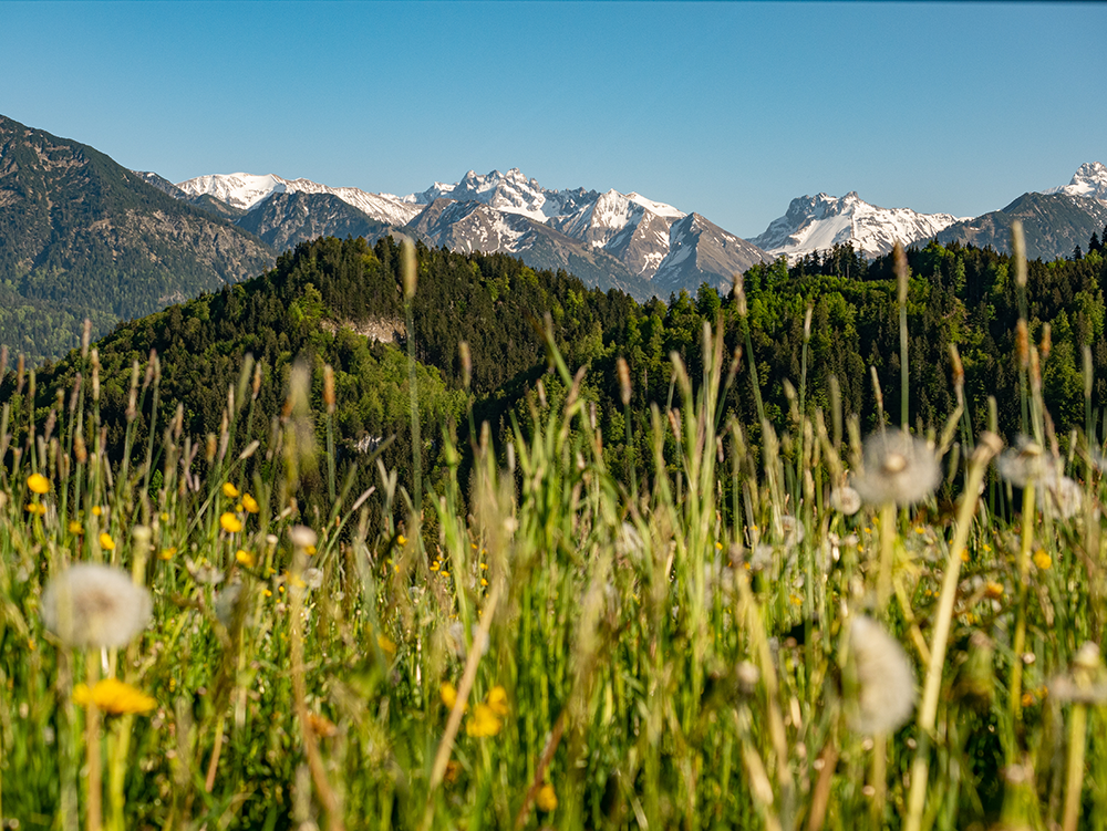 Frau Bergschoen Obermaiselstein