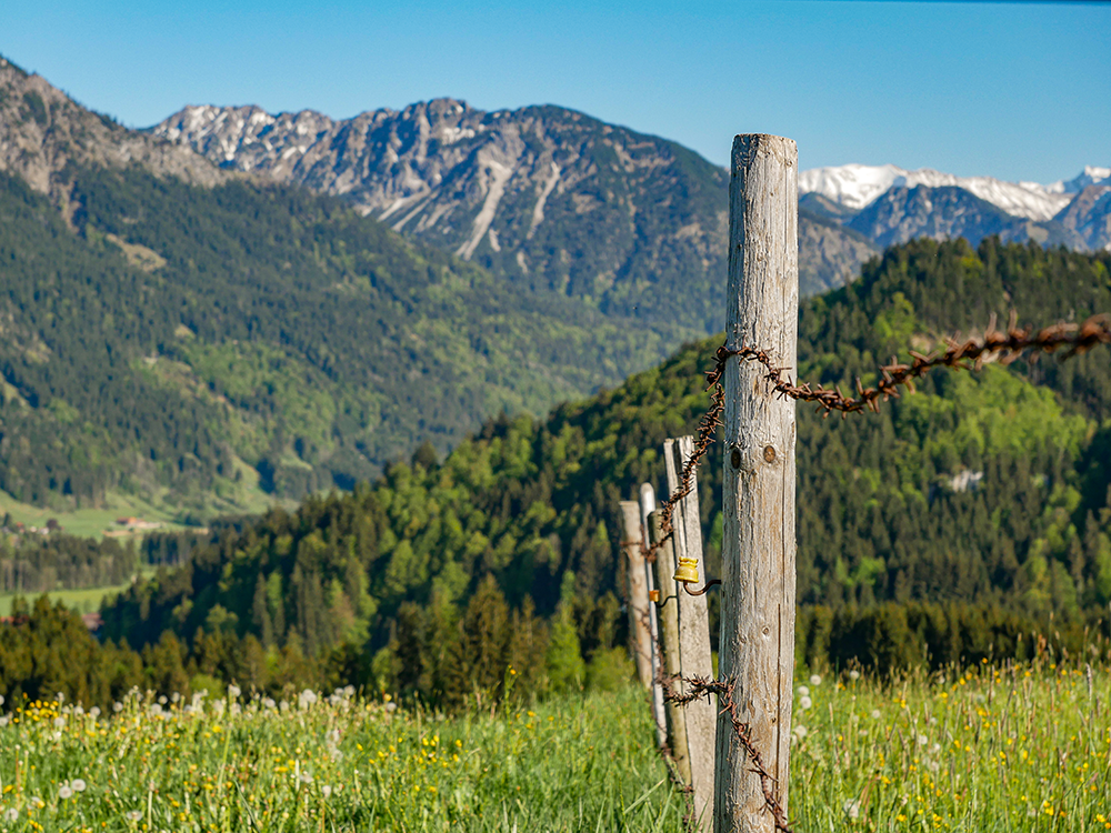 Frau Bergschoen Obermaiselstein