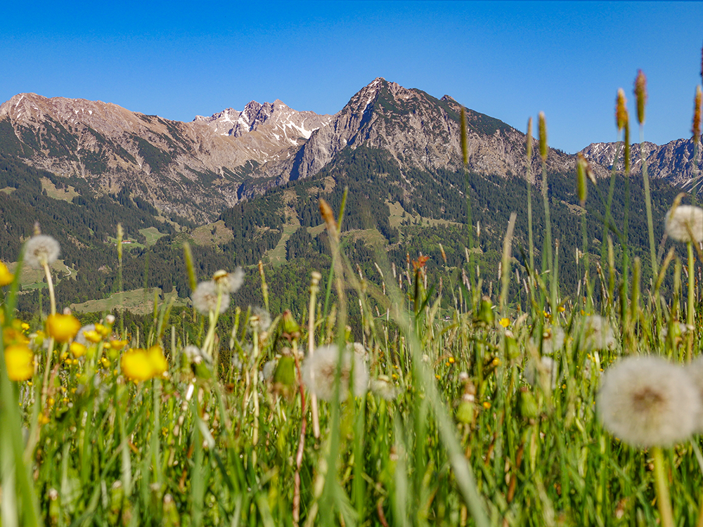 Frau Bergschoen Obermaiselstein