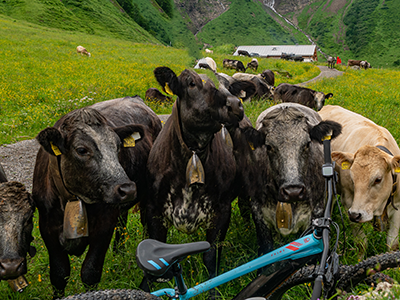 Bergschön TV Allgäu Oberallgäu Kleinwalsertal Tannheimer Tal