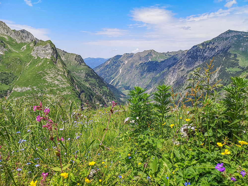 Frau Bergschoen Oytal Alpgenuss Käseralpe Gutenalpe Oberstdorf