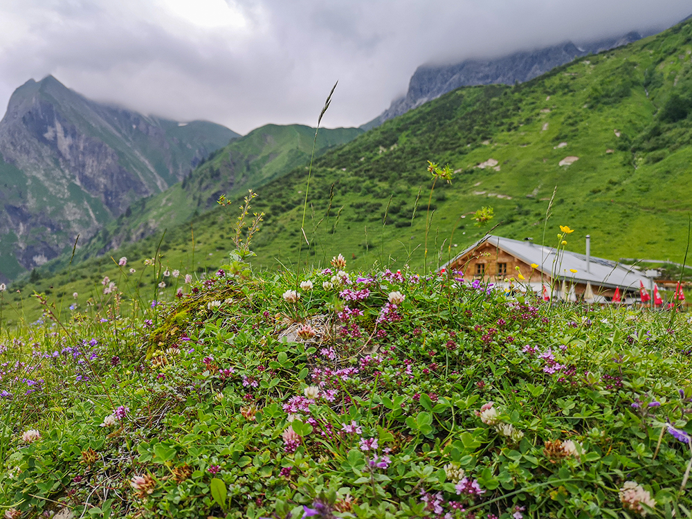 Frau Bergschoen Oytal Alpgenuss Käseralpe Gutenalpe Oberstdorf