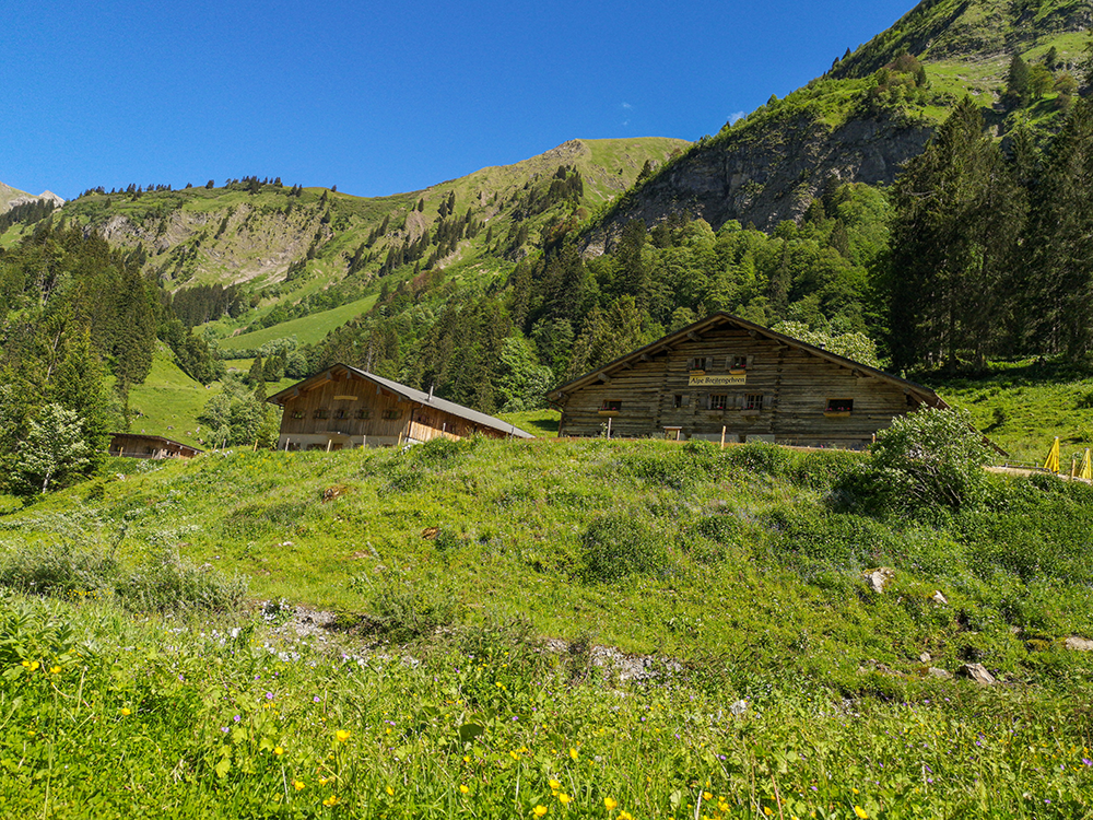 Frau Bergschoen Rappenalptal