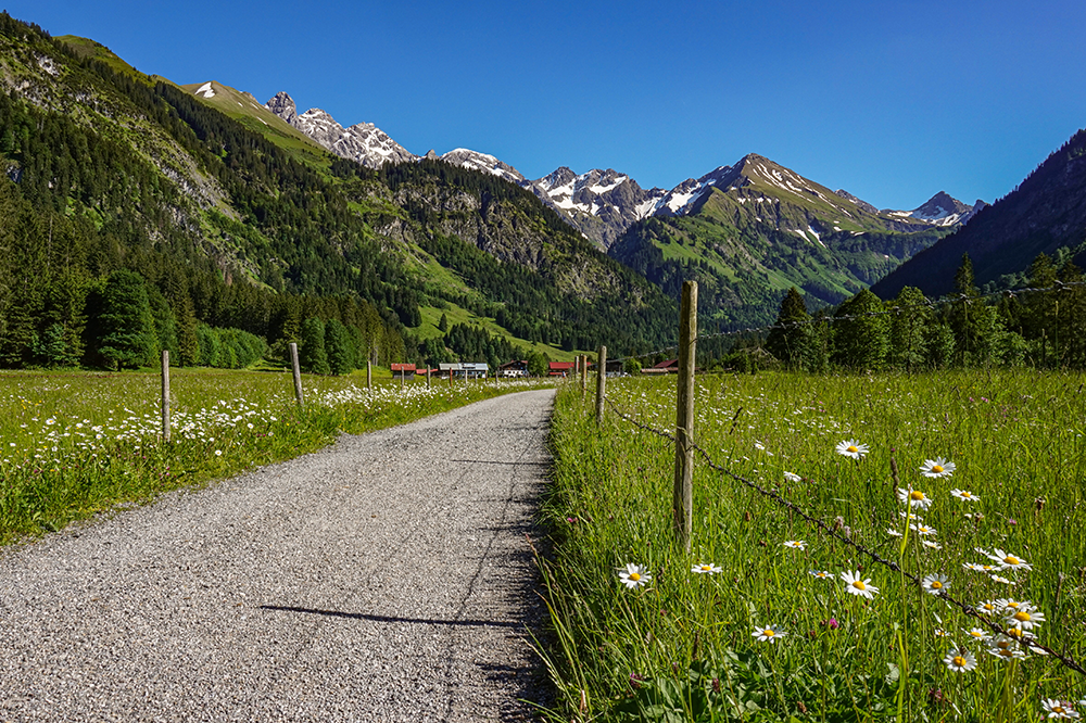 Frau Bergschoen Rappenalptal