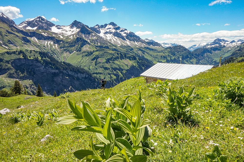 Frau Bergschoen Rappenalptal