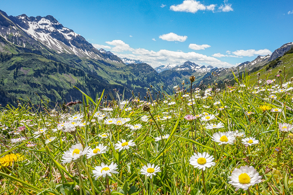 Frau Bergschoen Rappenalptal