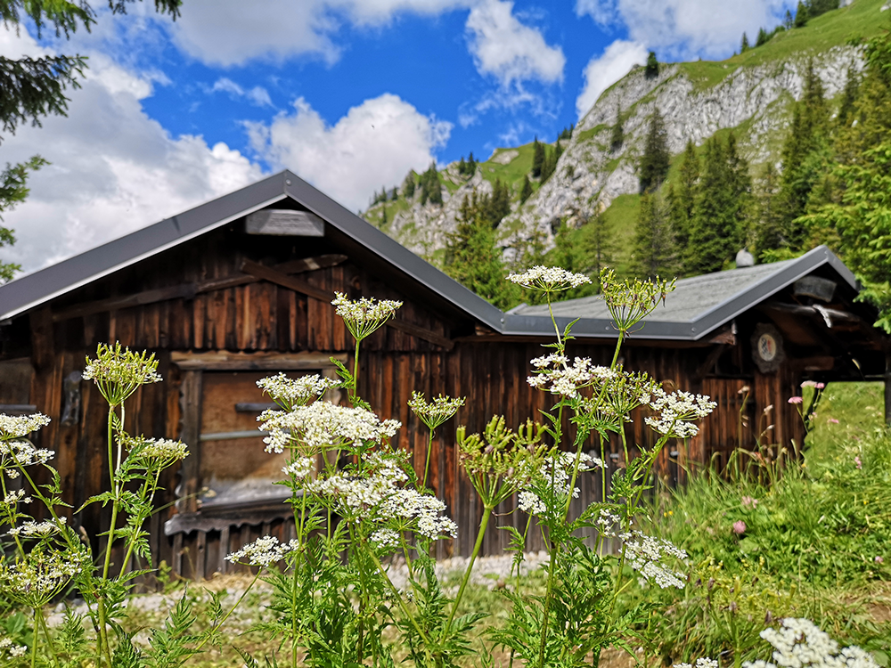 Frau Bergschoen Schneetalalm Tannheimer Tal