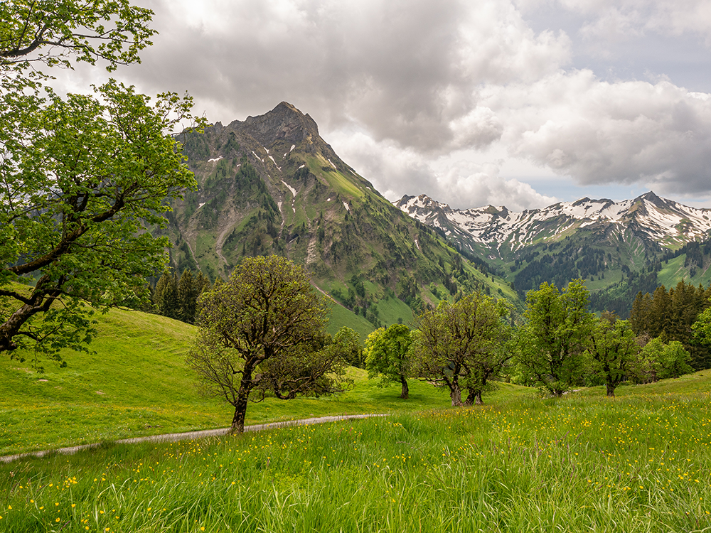 Frau Bergschoen Bike Hintersteiner Tal