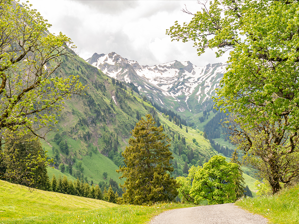 Frau Bergschoen Bike Hintersteiner Tal