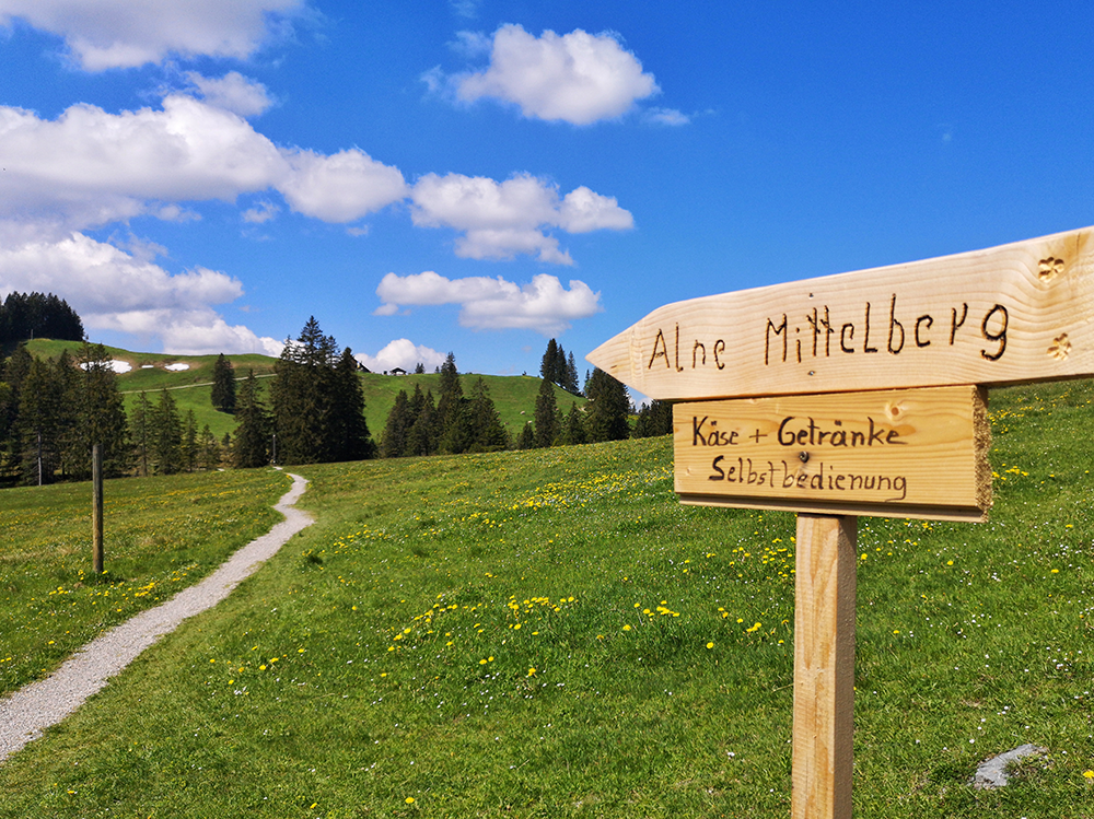 Frau Bergschoen Bike and Hike zum Sederer