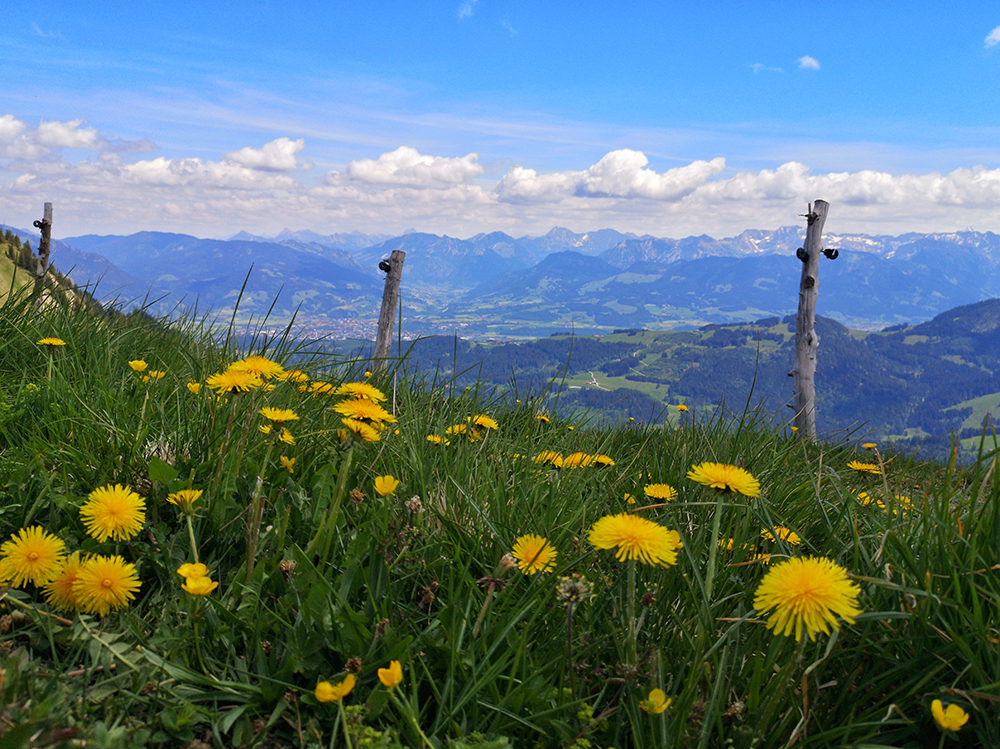 Frau Bergschoen Bike and Hike zum Sederer