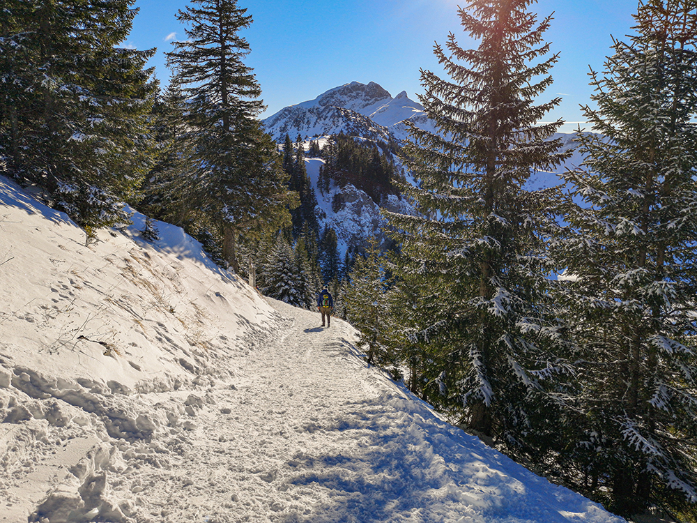 Frau Bergschön Tannheimertal