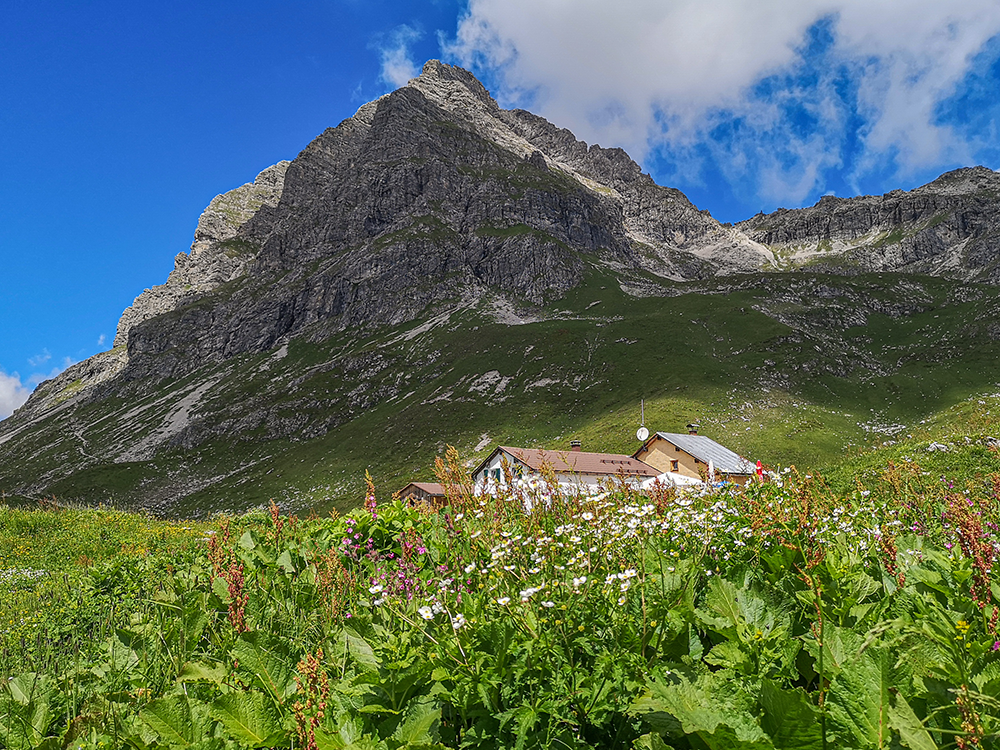 Frau Bergschoen Widerstein Kleinwalsertal Gemsteltal Bärgundtal