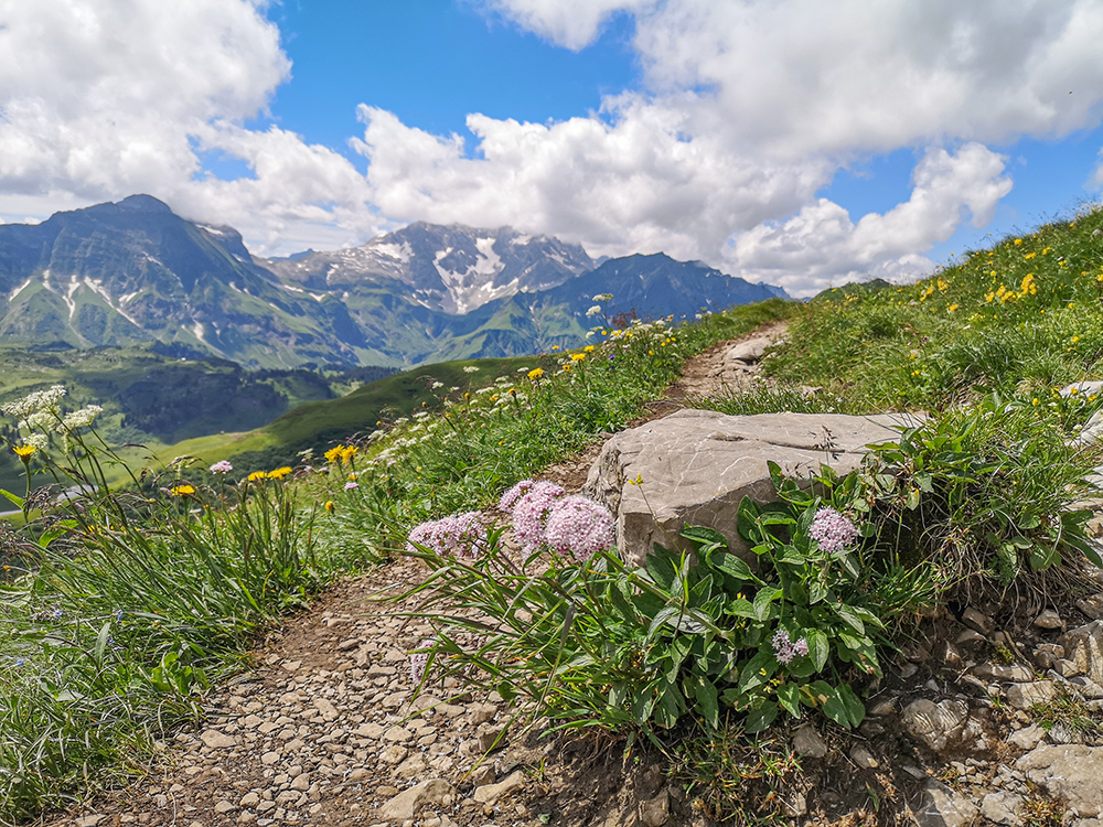 Frau Bergschoen Widerstein Kleinwalsertal Gemsteltal Bärgundtal