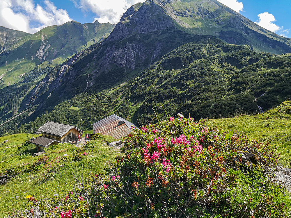 Frau Bergschoen Widerstein Kleinwalsertal Gemsteltal Bärgundtal