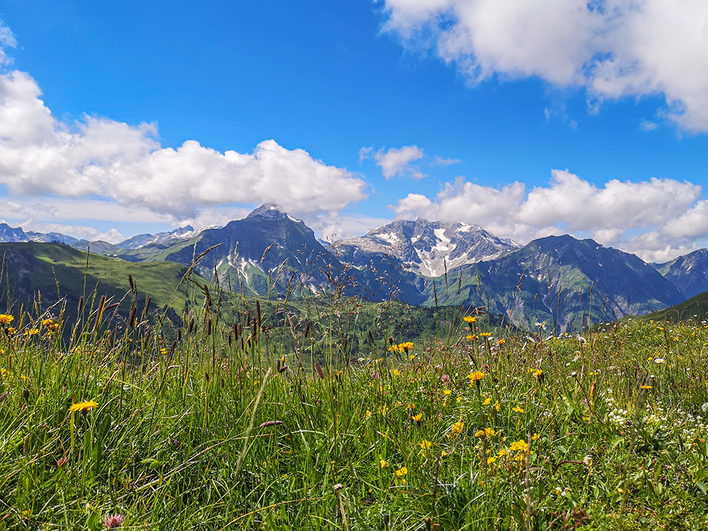 Frau Bergschoen Widerstein Kleinwalsertal Gemsteltal Bärgundtal