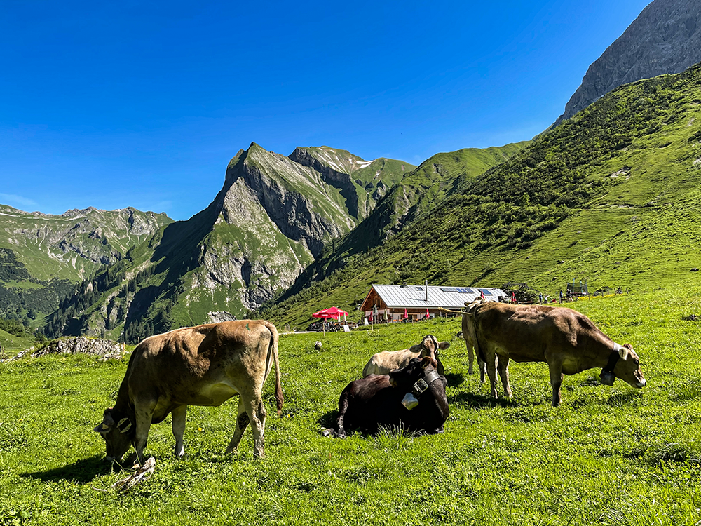 Bergschön Frau Alpen Allgäu Oberstdorf Oytal allgäuer Berge wandern lust