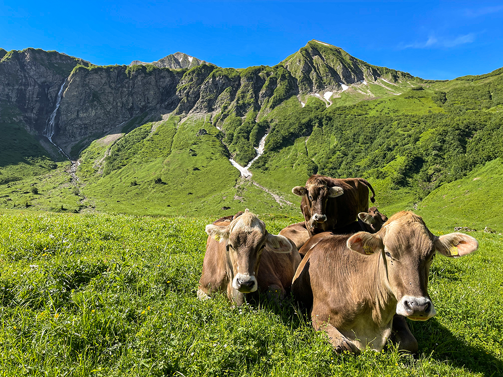 Bergschön Frau Alpen Allgäu Oberstdorf Oytal allgäuer Berge wandern lust