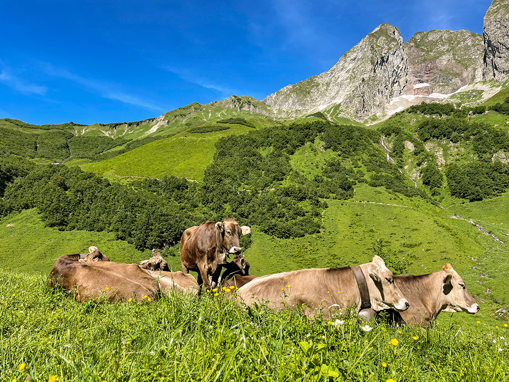 Bergschön Frau Alpen Allgäu Oberstdorf Oytal allgäuer Berge wandern lust