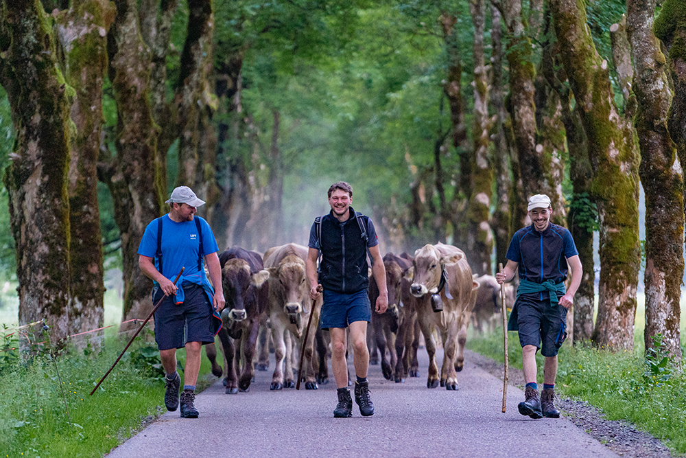 Bergschön Frau Alpen Allgäu Oberstdorf Oytal allgäuer Berge wandern lust