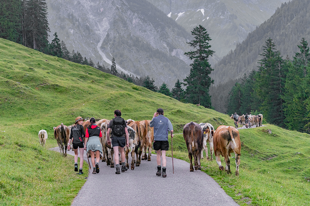 Bergschön Frau Alpen Allgäu Oberstdorf Oytal allgäuer Berge wandern lust