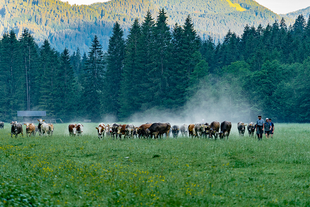 Bergschön Frau Alpen Allgäu Oberstdorf Oytal allgäuer Berge wandern lust