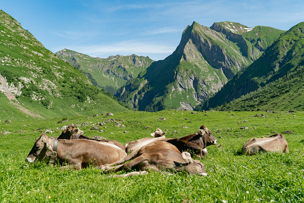 Bergschön Frau Alpen Allgäu Oberstdorf Oytal allgäuer Berge wandern lust