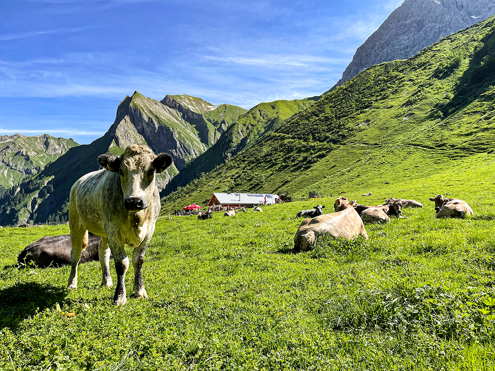 Bergschön Frau Alpen Allgäu Oberstdorf Oytal allgäuer Berge wandern lust