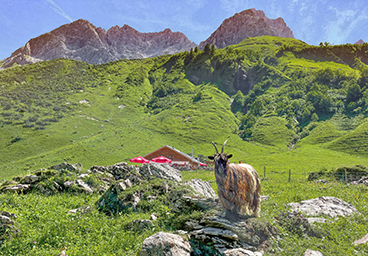 Tannheimer Tal Bergschön TV Allgäu Oberstdorf Oberallgäu Kleinwalsertal Tannheimer Tal