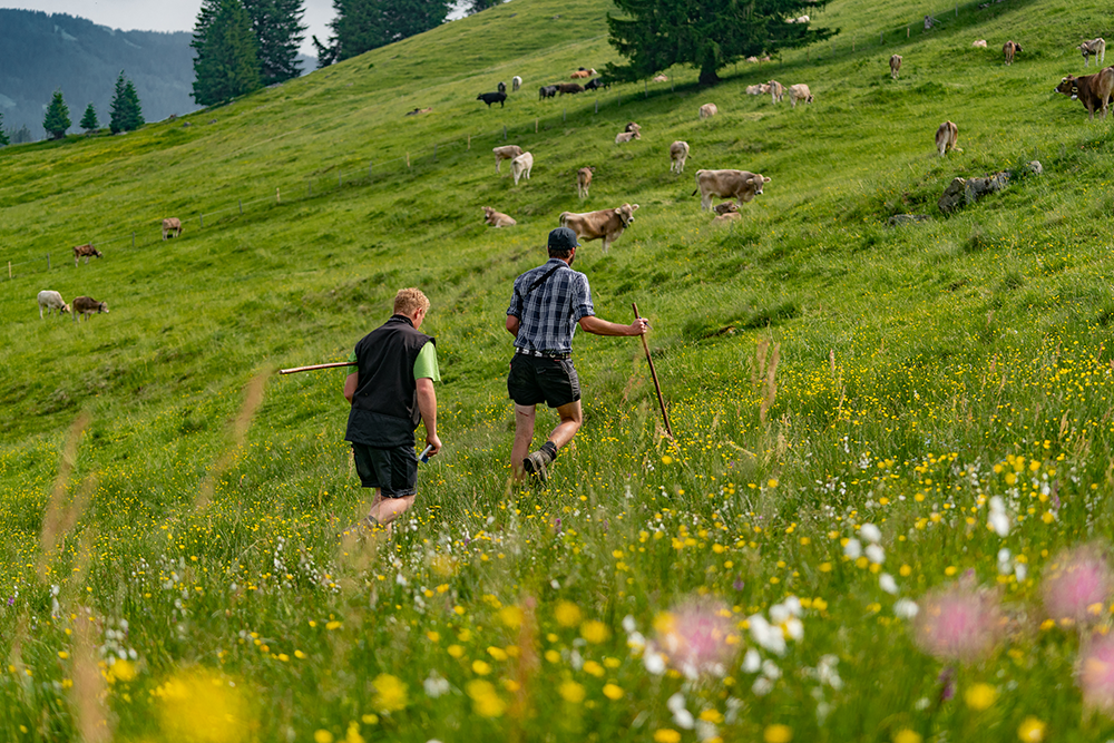 Frau Bergschön Alpe Altstädter Hof