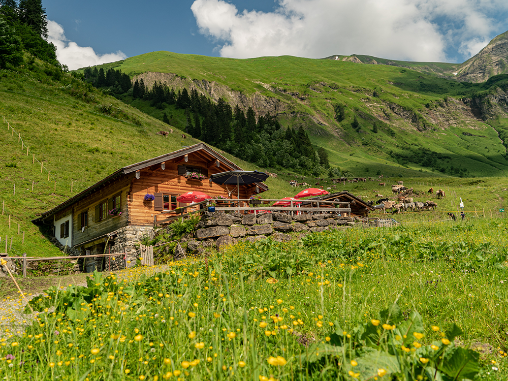Dietersbach Krumbach Alpe Vorder alpe Bergschön bergschon Allgäu allgau
