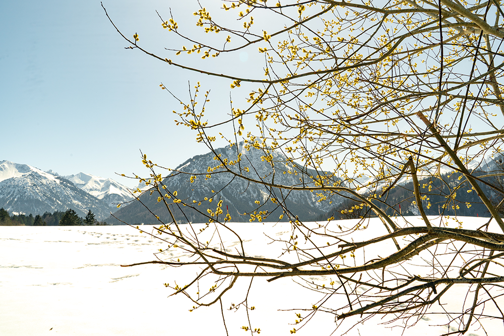 Gerstruben Winterwanderung Oberstdorf Dietersberg Sonnige Bergbauerndorf