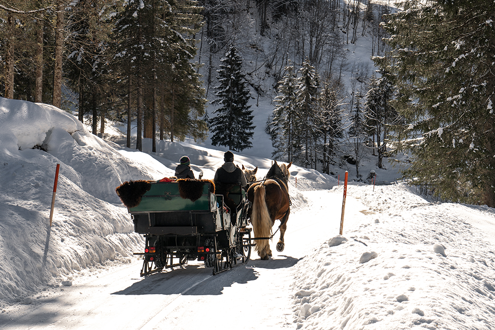 Bergschön Hinterstein Pferdetour Pferdeschlitten