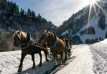 Tannheimer Tal Bergschön TV Allgäu Oberstdorf Oberallgäu Kleinwalsertal Tannheimer Tal