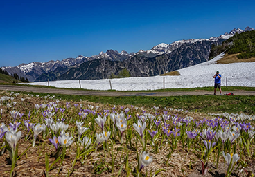 Tannheimer Tal Bergschön TV Allgäu Oberstdorf Oberallgäu Kleinwalsertal Tannheimer Tal