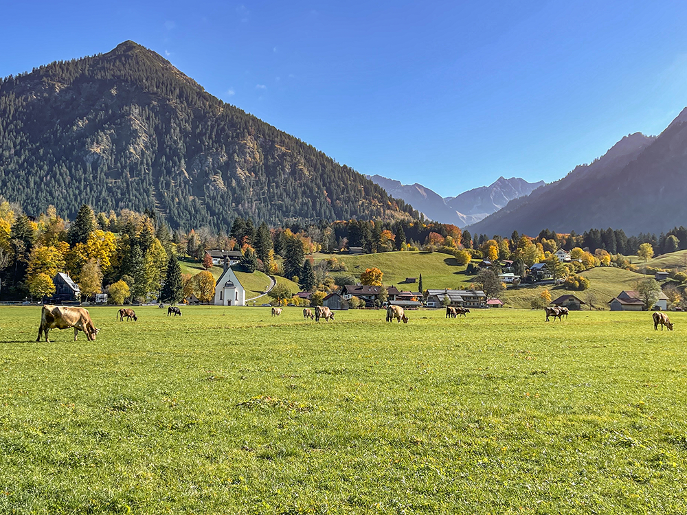 Oberstdorf Herbst Issimo Moorweiher Bergsport Ja