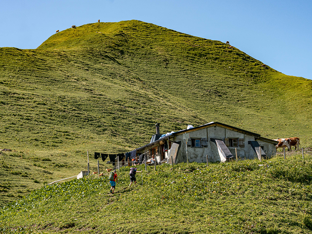 Rappenalptal Haldenwanger Eck Hirten Allgäu