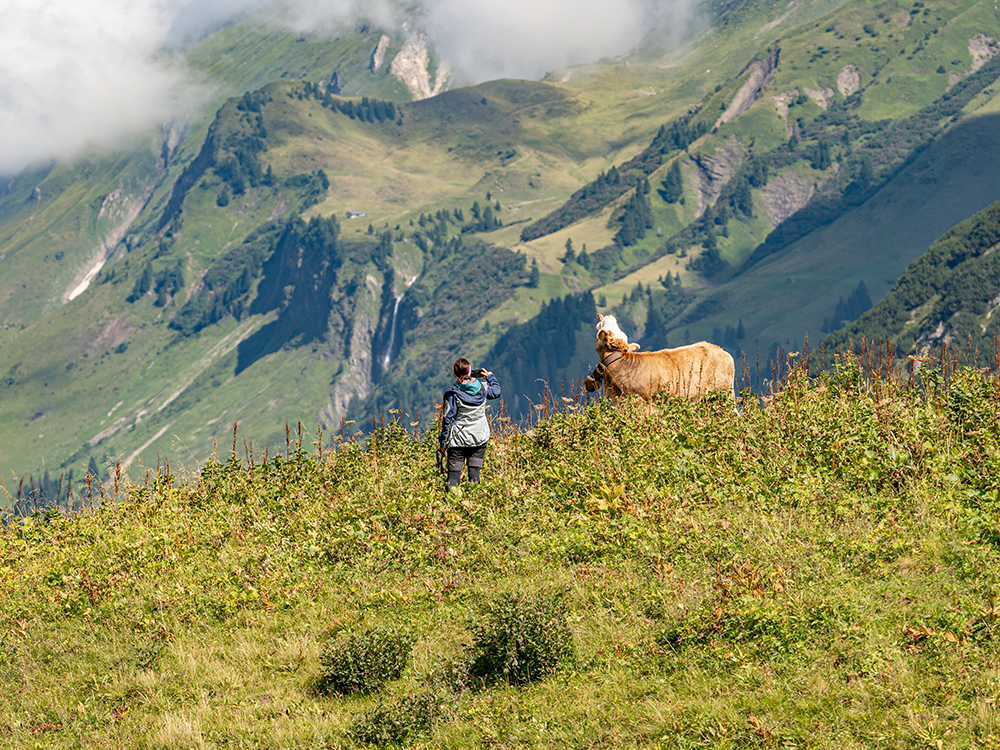 Rappenalptal Haldenwanger Eck Hirten Allgäu