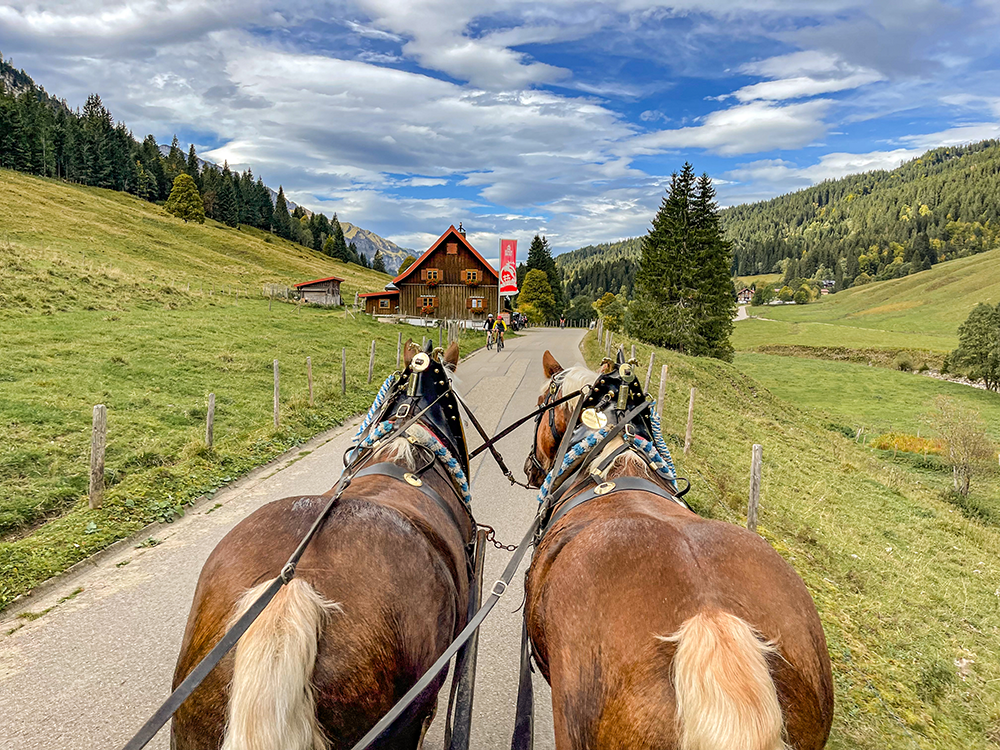 Rossalpe Pferde Alm Alpe Wanderung Berge Alpen Bergschön