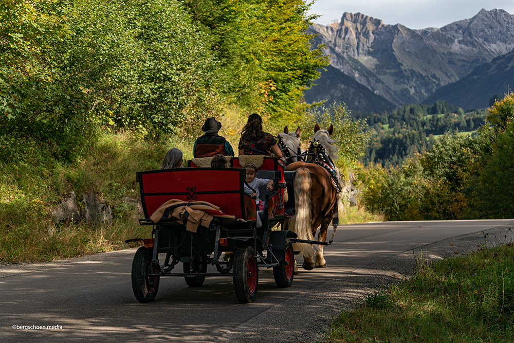 Rossalpe Pferde Alm Alpe Wanderung Berge Alpen Bergschön