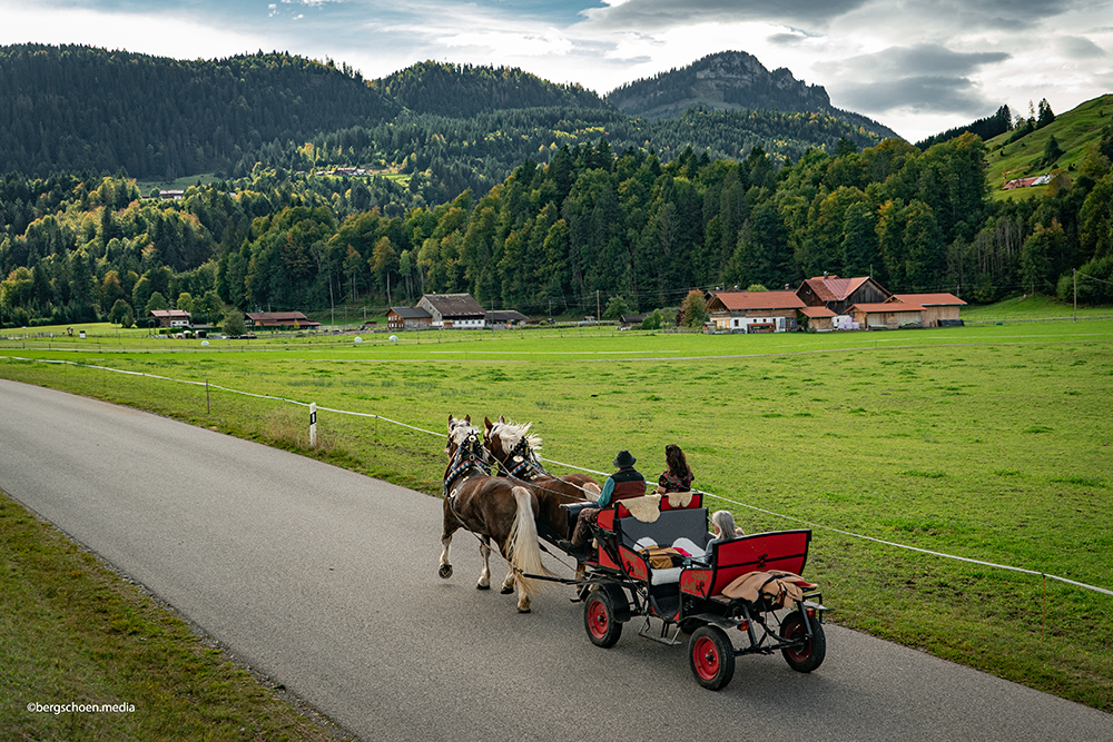 Rossalpe Pferde Alm Alpe Wanderung Berge Alpen Bergschön