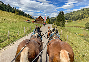 Für alle Allgäu Fans