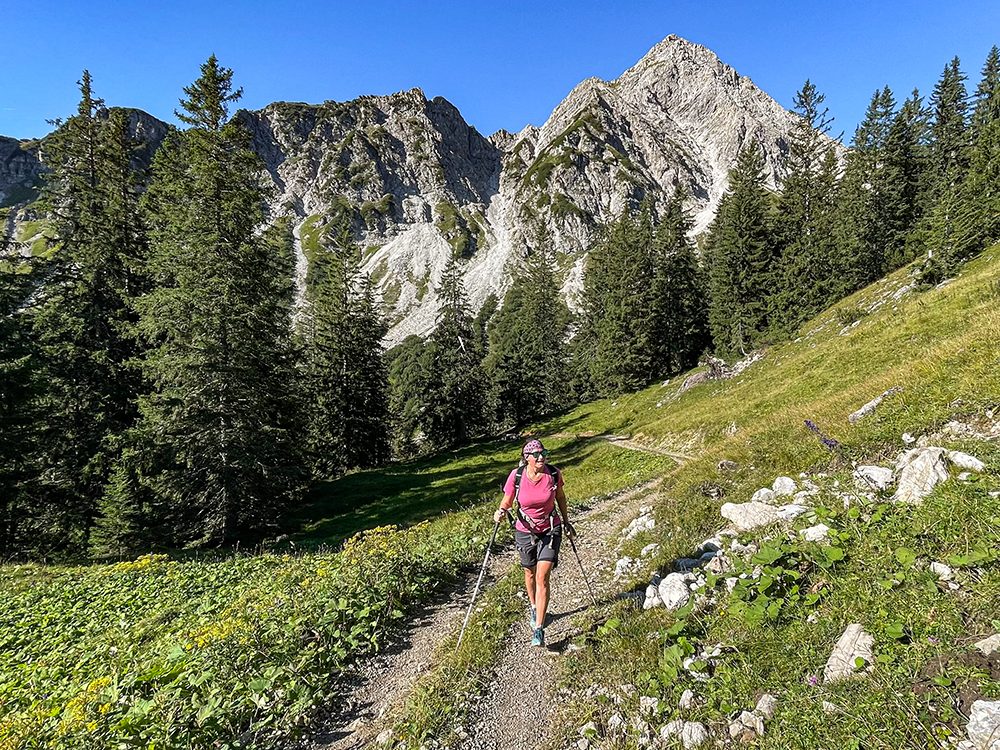 Rossalpe Pferde Alm Alpe Wanderung Berge Alpen Bergschön