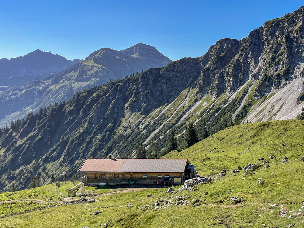 Rossalpe Pferde Alm Alpe Wanderung Berge Alpen Bergschön