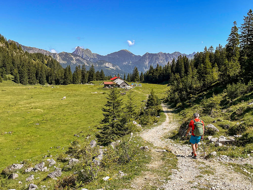 Rossalpe Pferde Alm Alpe Wanderung Berge Alpen Bergschön