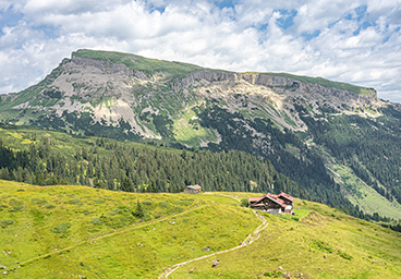 Für alle Allgäu Fans