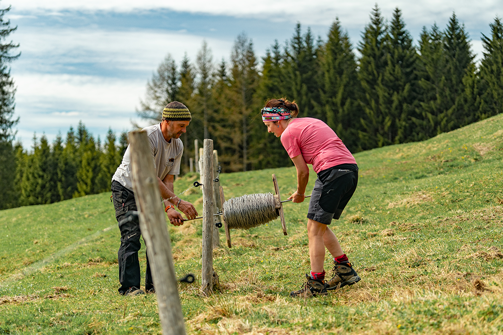 Frau Bergschön Strausbergalpe