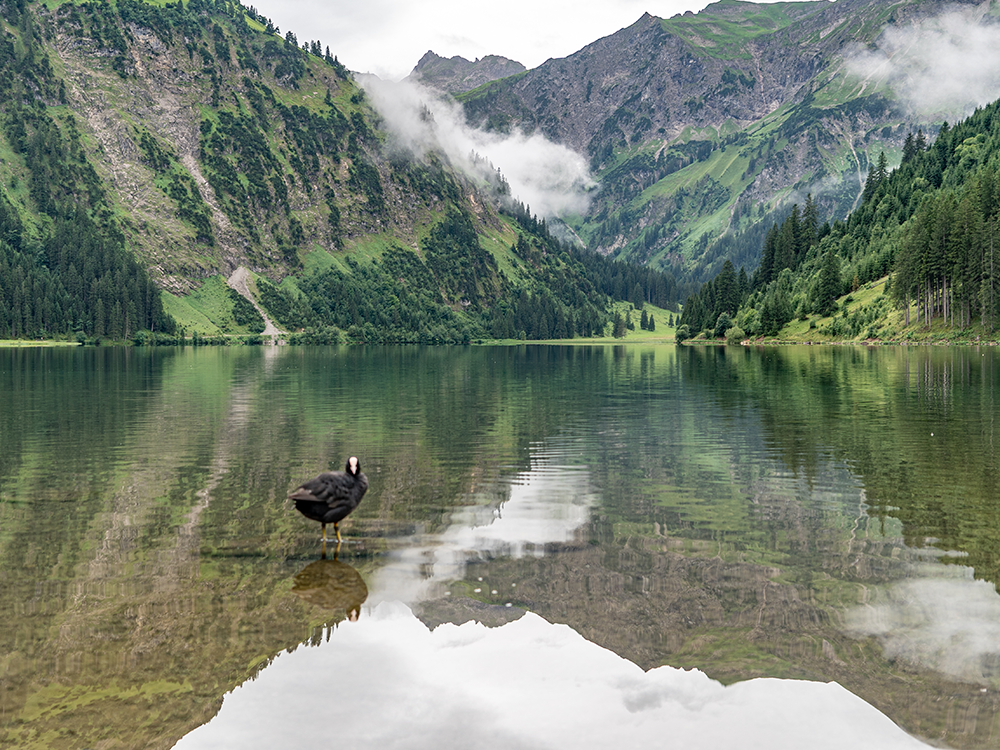 bergschoen allgäu vilsalpsee Tannheimer tal